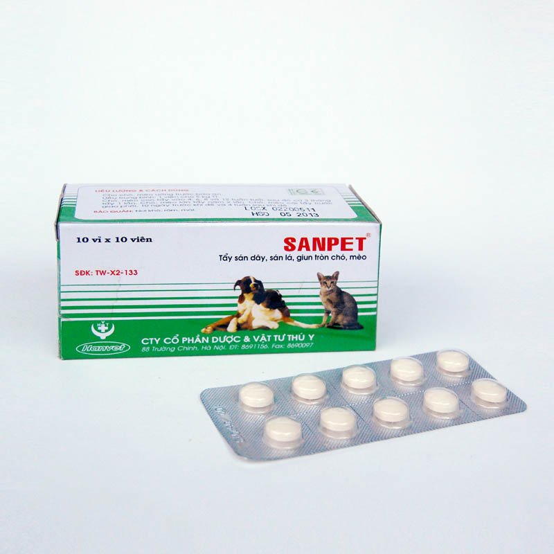 2024/03/1000053503.jpg Sanpet - Ảnh 1