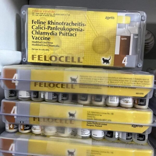 Vaccine 4 Bệnh Mèo (Zoetis - Mỹ)
