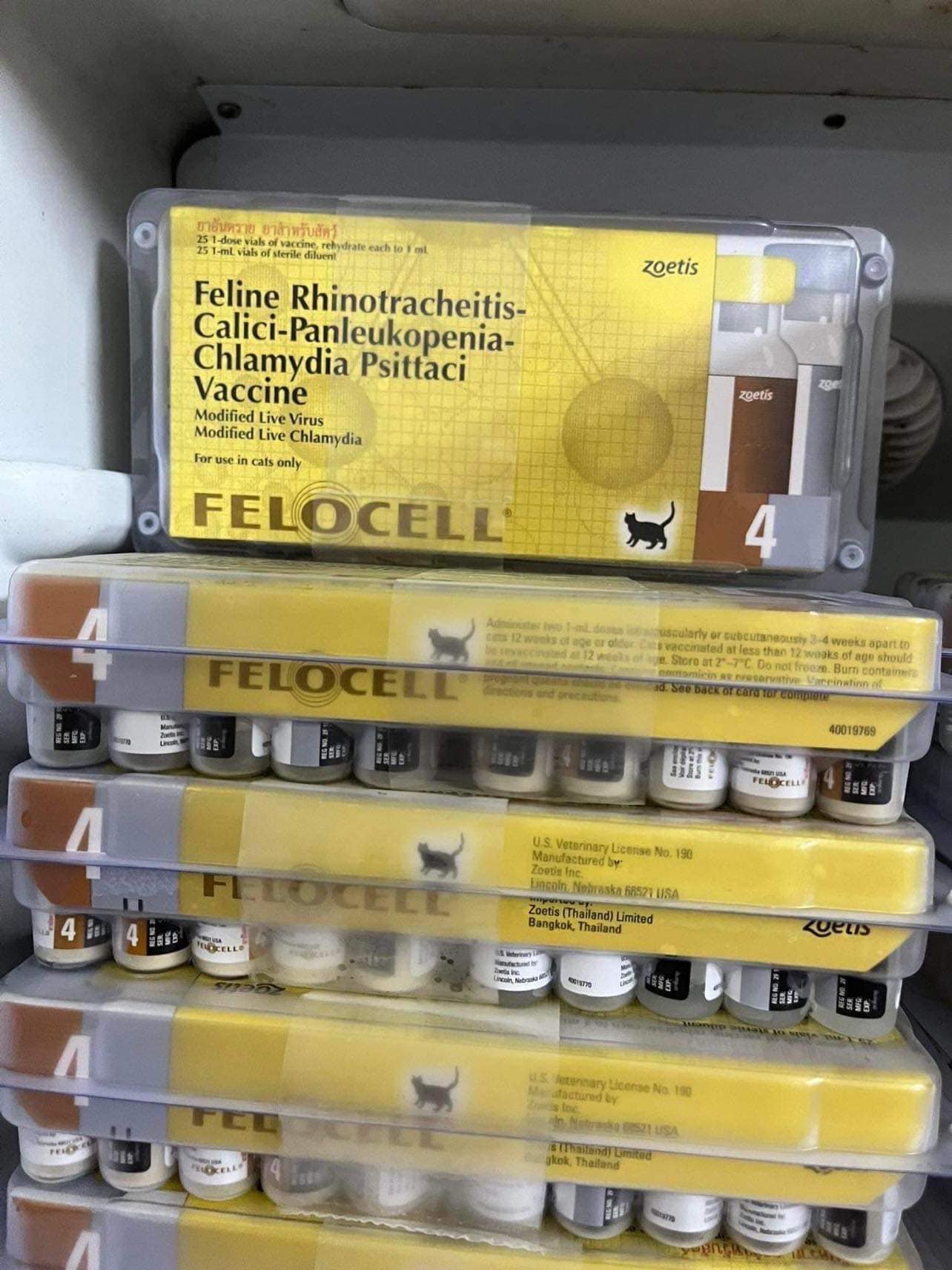 4 benh meo Vaccine 4 Bệnh Mèo (Zoetis - Mỹ) - Ảnh 1