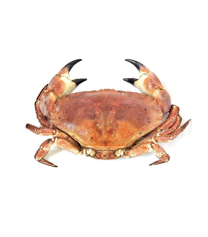 vg-sf-frshs-3.jpg Cornish Crab (Whole) - Ảnh 1