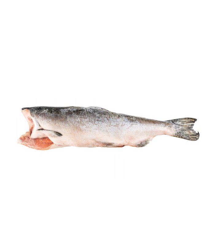 vg-sf-frzf-4.jpg Pink (Hump-Back) Salmon - Ảnh 1