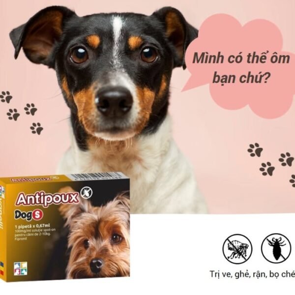 Antipoux Dog S
