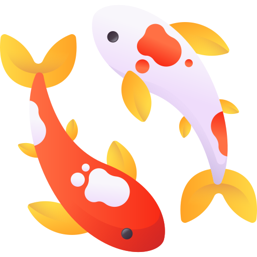 Koi fish