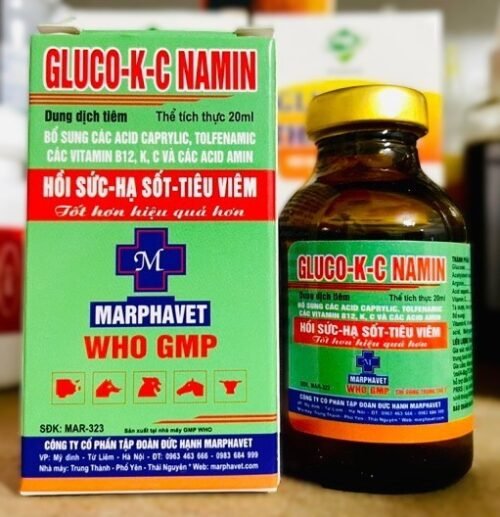 Gluco K C Namin
