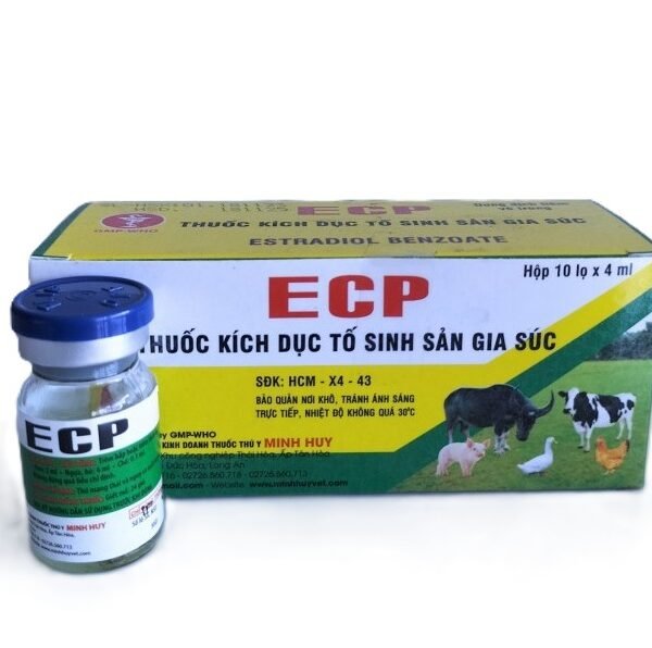 ECP