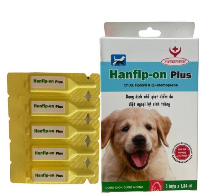 hanfip on chó Hanfip on chó