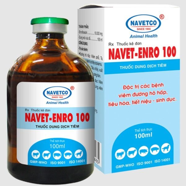 Navet Enro