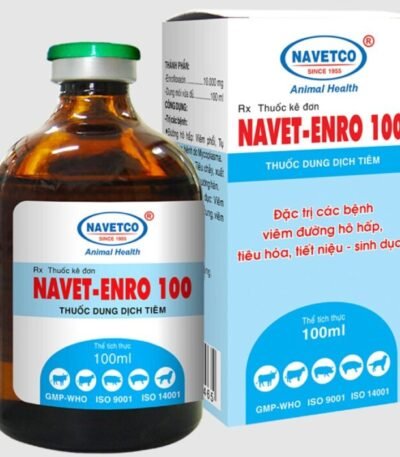 Navet Enro